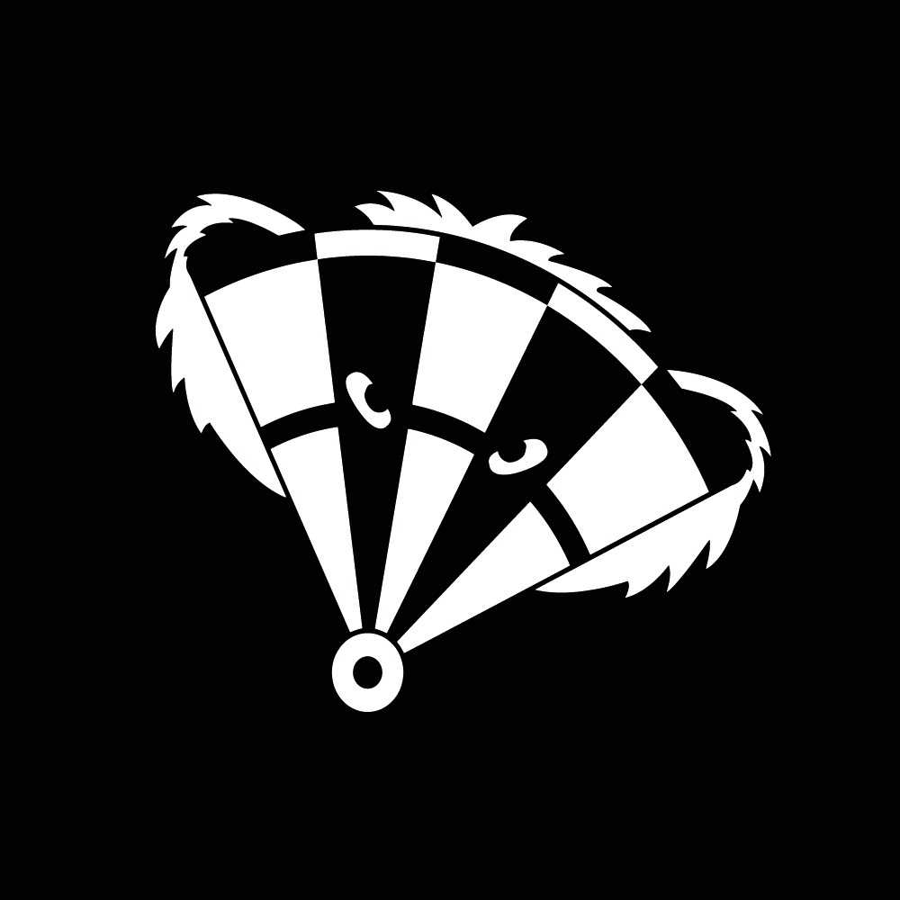 Darts club des Gones Ligue sud est de fléchettes